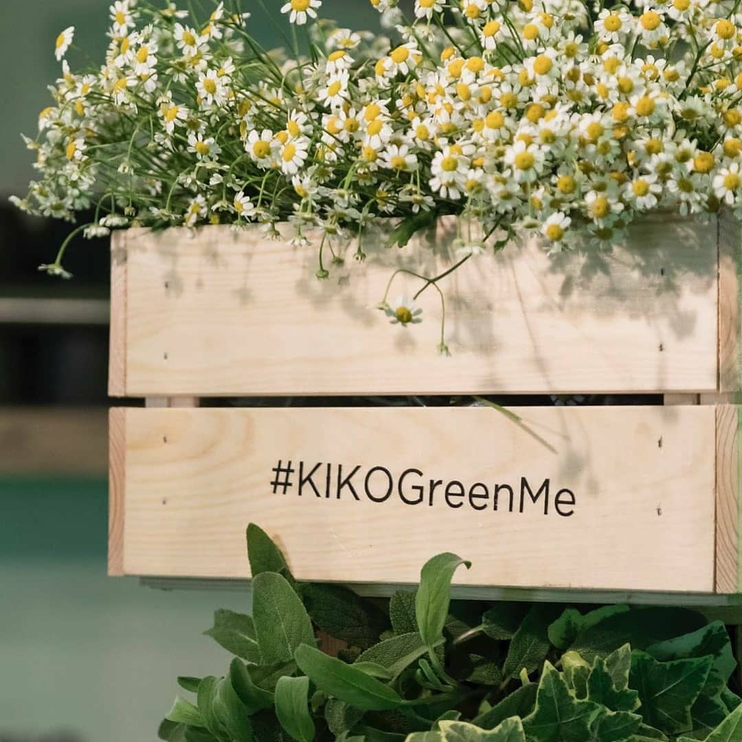 لاین آرایشی گرین می کیکو